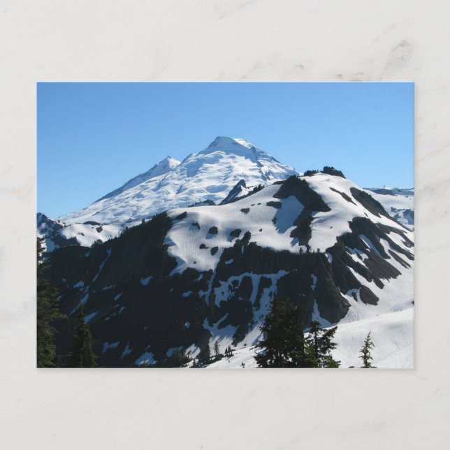 Carte Postale Mt Baker En Juillet (Devant)