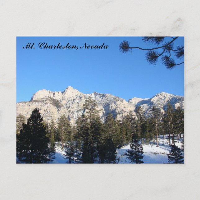 Carte postale Mt Charleston (Devant)