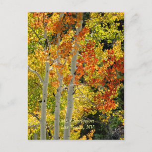 Carte Postale Mt. Charleston, Las Vegas, NV Aspens Postcard