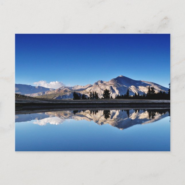 Carte Postale Mt.Dana, Tuolumne Meadows, Yosemite, CA. (Devant)