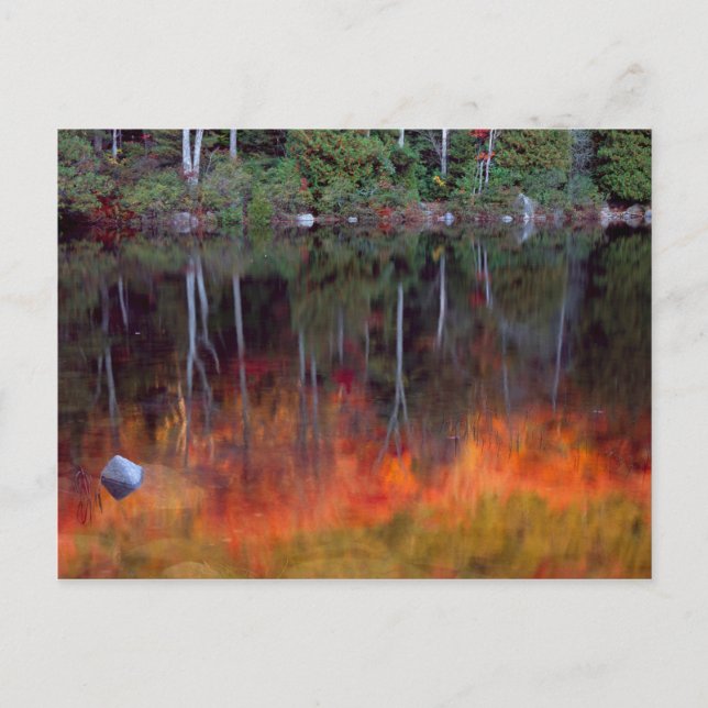 Carte Postale Mt. Desert Island | Parc national Acadia, Maine (Devant)