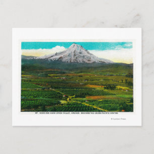 Carte Postale Mt Hood de Hood River ValleyHood River, OU