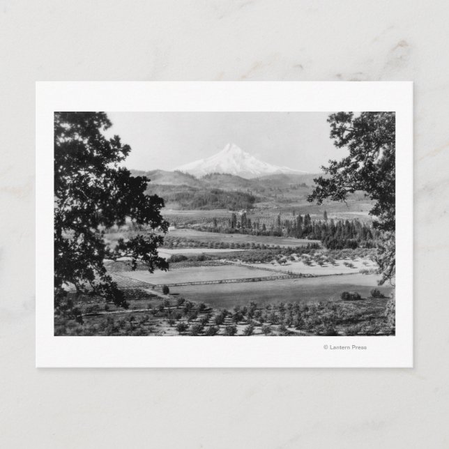 Carte Postale Mt. Hood de la vallée de la rivière Hood Photo (Devant)