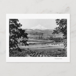 Carte Postale Mt. Hood de la vallée de la rivière Hood Photo