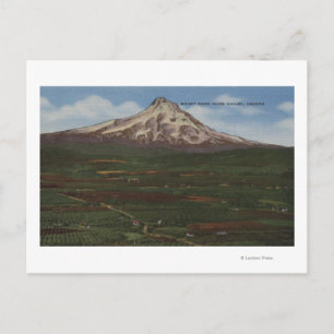 Carte Postale Mt Hood, Oregon - Vue de la montagne du Hood 2