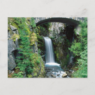 Carte Postale Mt. Ranier Nat. Park, Washington 5