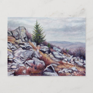 Carte postale Mt. Rogers