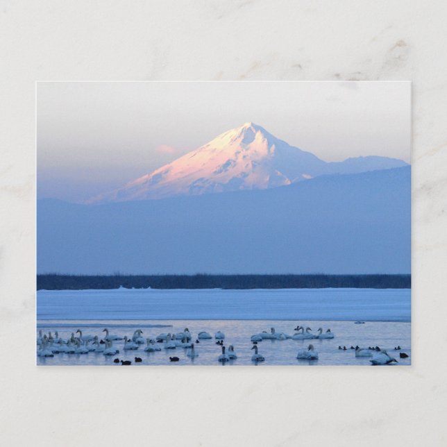 Carte postale Mt. Shasta California (Devant)