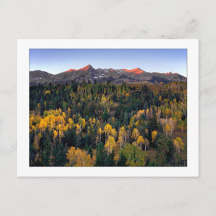 Carte Postale "Mt. Sneffel - Dallas Divide Road"