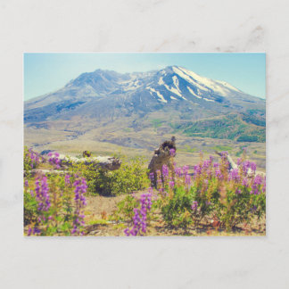 Carte Postale Mt. St. Helens