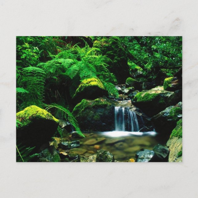 Carte Postale Mt. Tamalpais State Park, CA (Devant)
