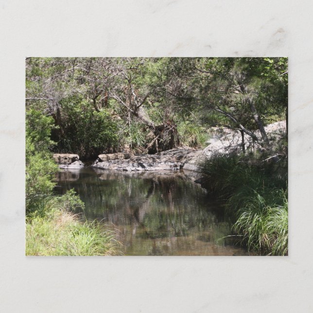 Carte Postale Mt Tamborine #3 (Devant)