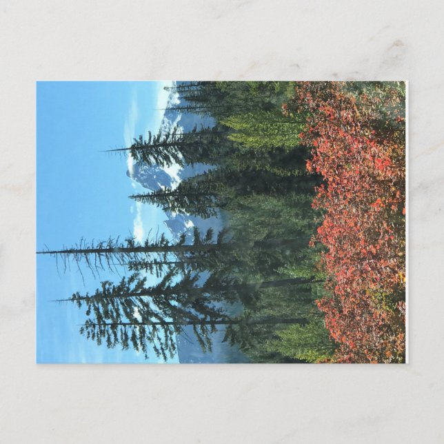 Carte Postale Mt. Washington en Automne, OR (Devant)