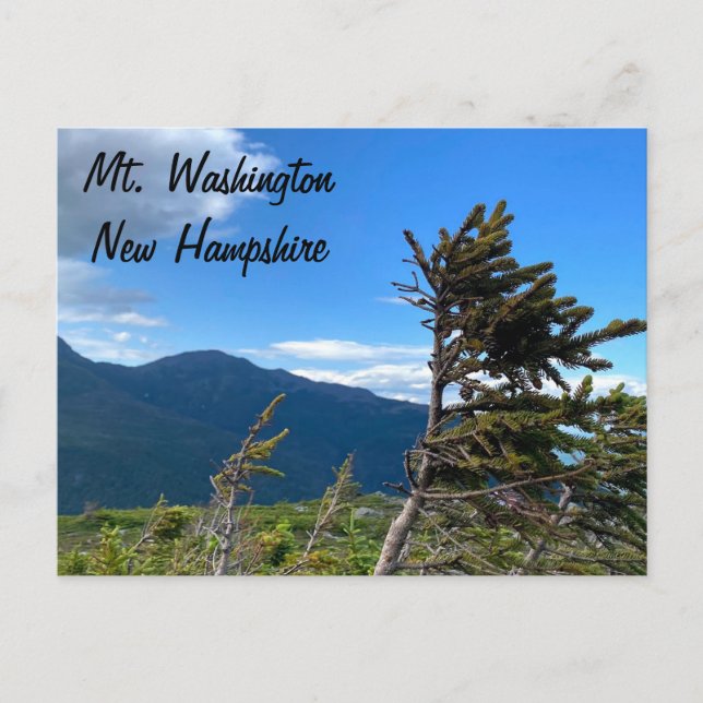 Carte Postale Mt Washington, NH Postcard (Devant)