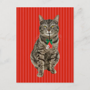 Carte postale "Muffin Digs Christmas"