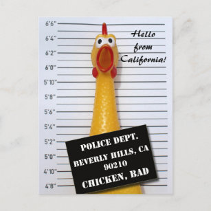 Cartes Postales Humour Poulet Originales Zazzle Fr