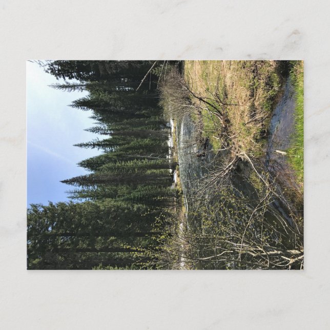 Carte Postale Muir Creek, Oregon (Devant)