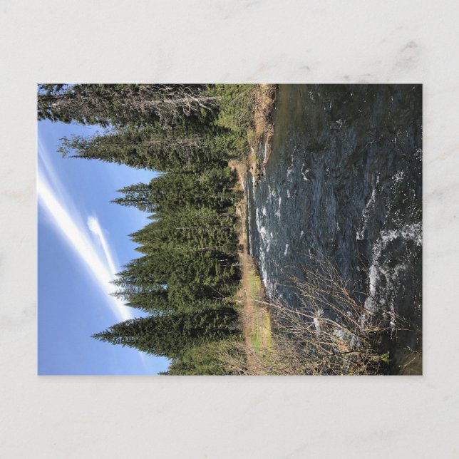 Carte Postale Muir Creek, Oregon (Devant)