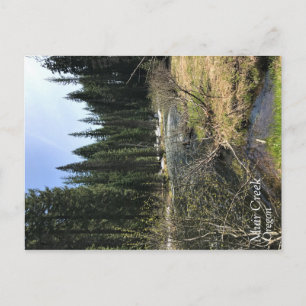Carte Postale Muir Creek, Oregon