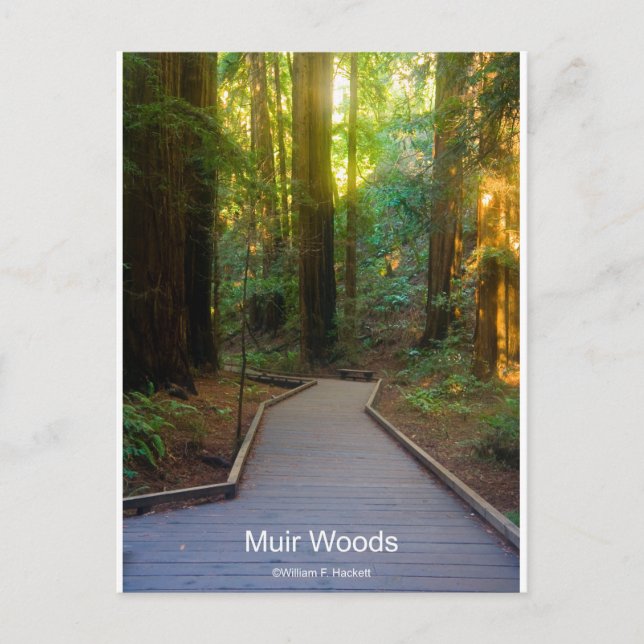 Carte Postale Muir Woods Walkway California Produits (Devant)