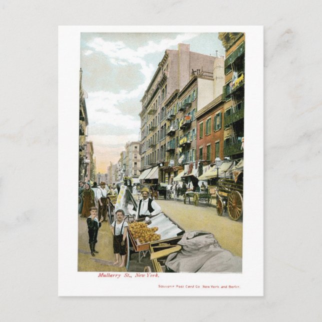 Carte Postale Mulberry St., New York (Devant)