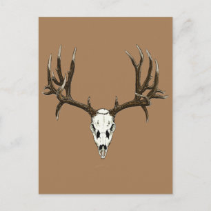 Carte Postale Mule cerf