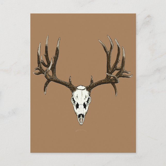 Carte Postale Mule cerf (Devant)