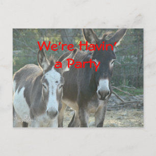 Carte Postale Mule Postcard-any occasion-customize