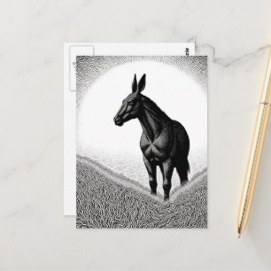 Carte Postale Mulet Noir et Blanc