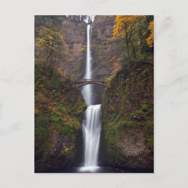 Carte Postale Multnomah Falls dans le comté d'Autumn (Devant)
