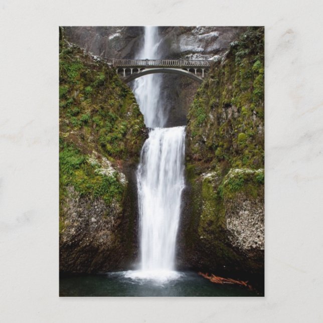Carte Postale Multnomah Falls dans les gorges de Columbia (Devant)
