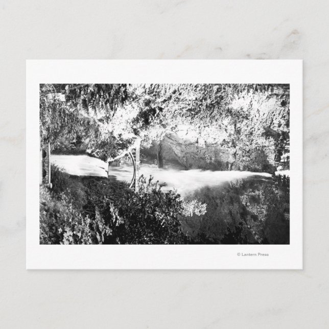 Carte Postale Multnomah Falls PhotographieColumbia River, OU (Devant)