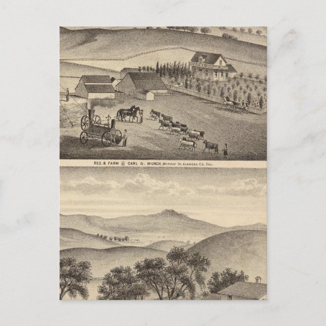 Carte Postale Munch, Résidences de Stanley, fermes (Devant)