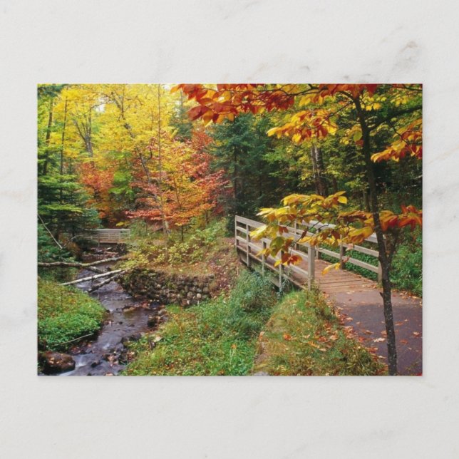 Carte Postale Munising Falls Trail, Alger County, Michigan (Devant)