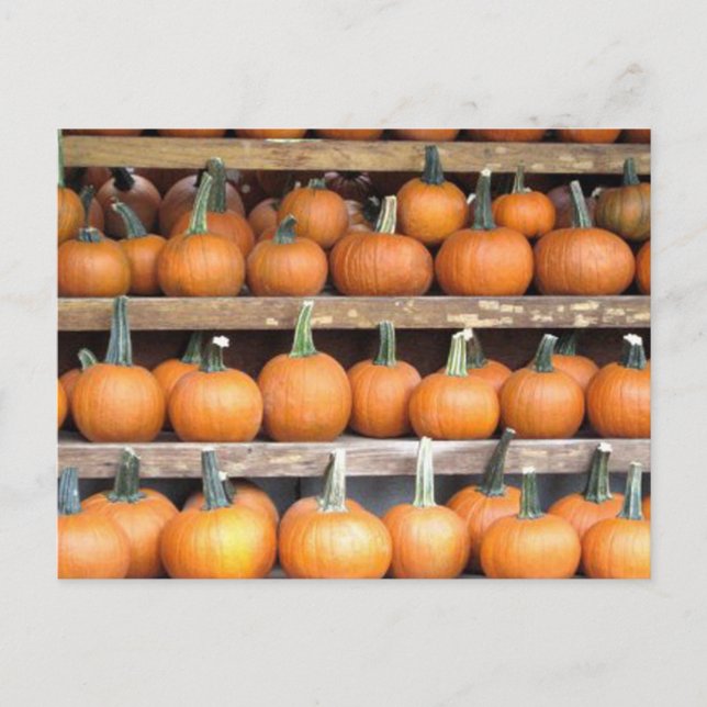 Carte Postale Mur Citrouille d'Halloween (Devant)