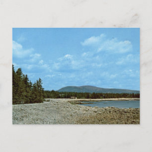 Carte Postale Mur de la mer Parc national d'Acadie Rivage vintag