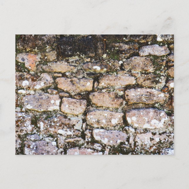 Carte Postale Mur de ruines mayas (Devant)