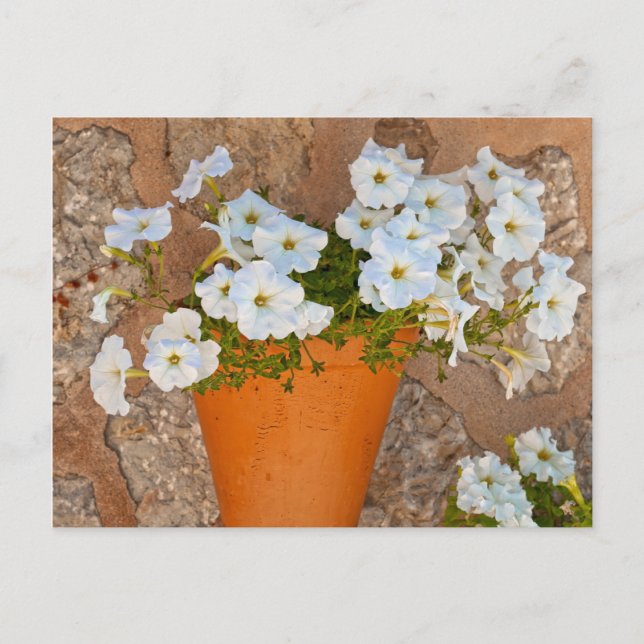 Carte Postale Mur espagnol (Devant)