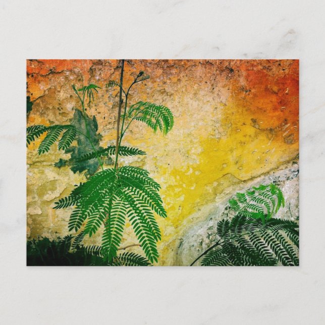 Carte Postale Mur jaune avec plante (Devant)