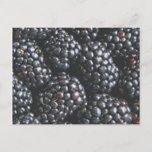 Carte Postale Mûres