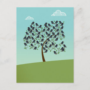 Carte Postale Murmuration de Starlings