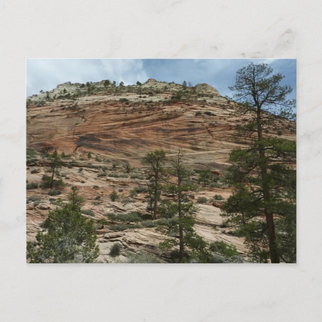 Carte Postale Murs de roche usés dans le parc national de Zion (Devant)