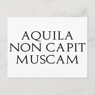 Carte Postale Muscam Aquila Non Captive
