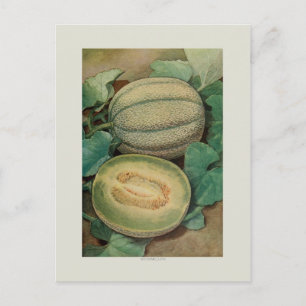 Carte Postale Musclone