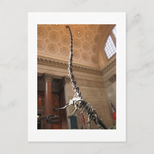 Carte Postale Musée américain d'histoire naturelle, New York