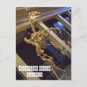 Carte Postale Musée australien à Sydney Australie