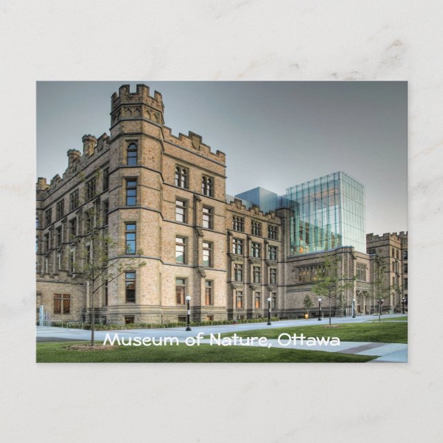 Carte Postale Musée de la nature, Ottawa. (Devant)