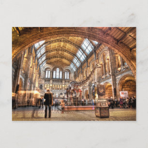 Carte Postale Musée de l'histoire naturelle de Londres