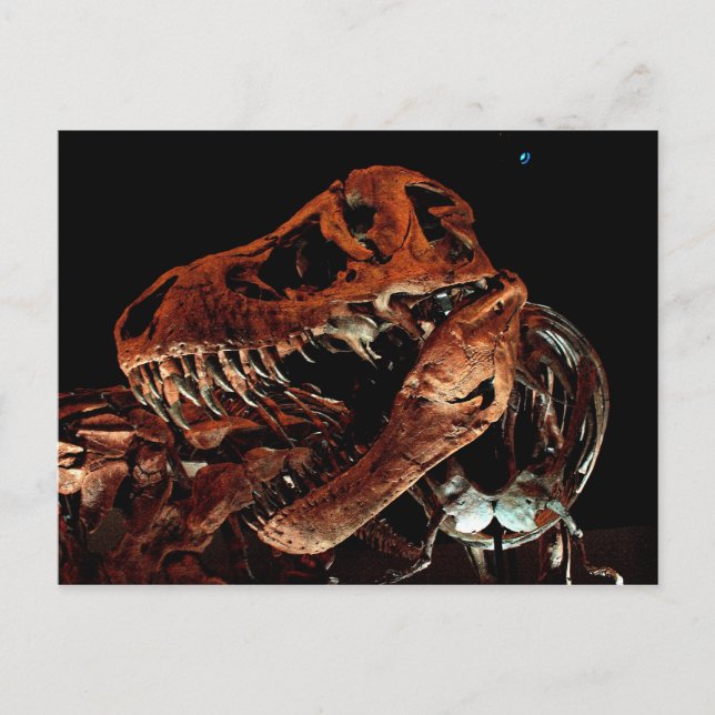 Carte Postale Musée des sciences naturelles de Houston (Devant)