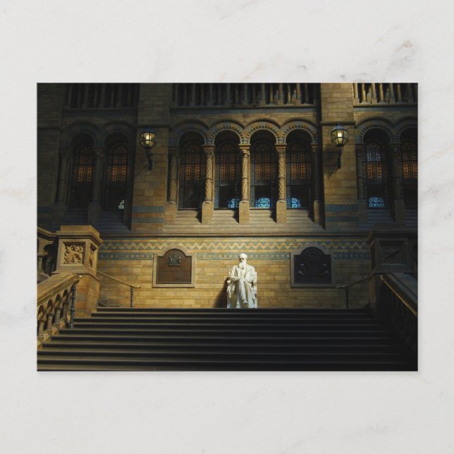 Carte Postale Musée d'histoire naturelle (Devant)